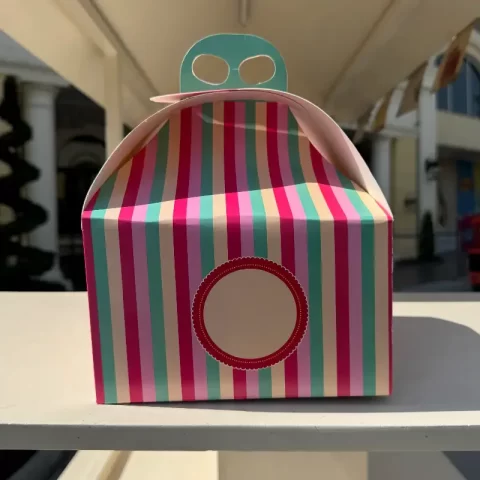 Colorful striped carry box
